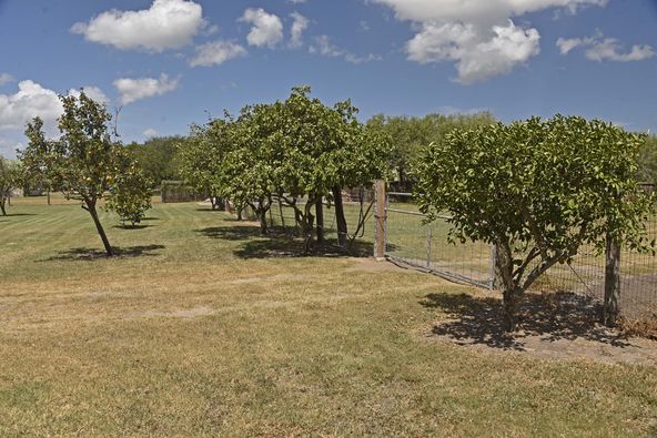 Burkhart Ranch: 5406 Co Rd 73, Robstown, TX 78380